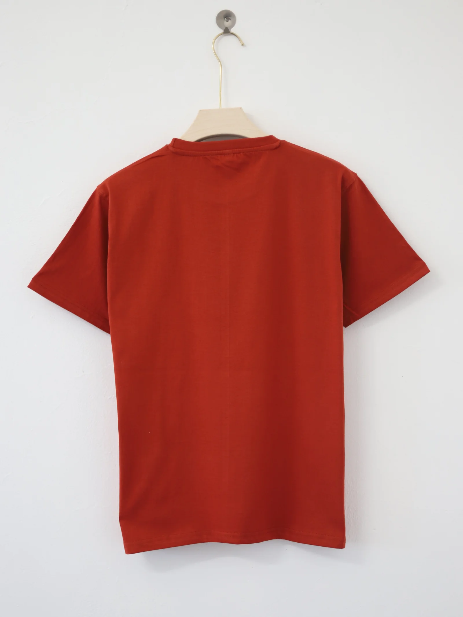 Regular Half Sleeve Plain T-Shirt (Rust)